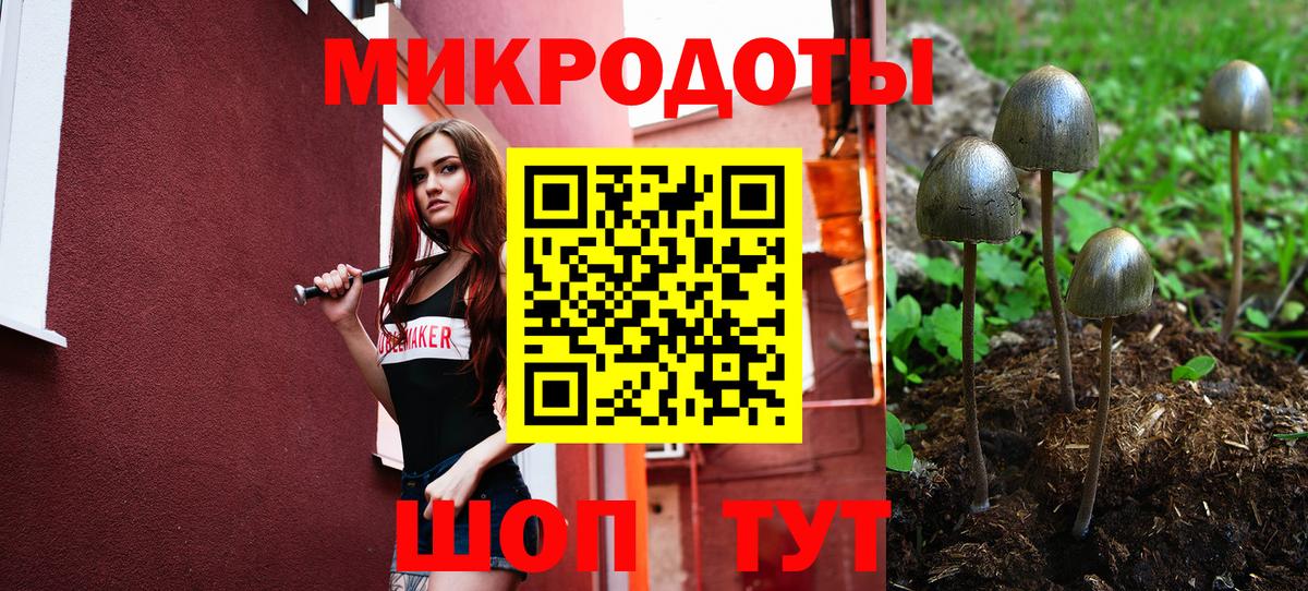Галлюциногенные грибы GOLDEN TEACHER  Псилоцибиновые грибы мухоморы  магазин продажи наркотиков  Вход с VPN  Пенза 