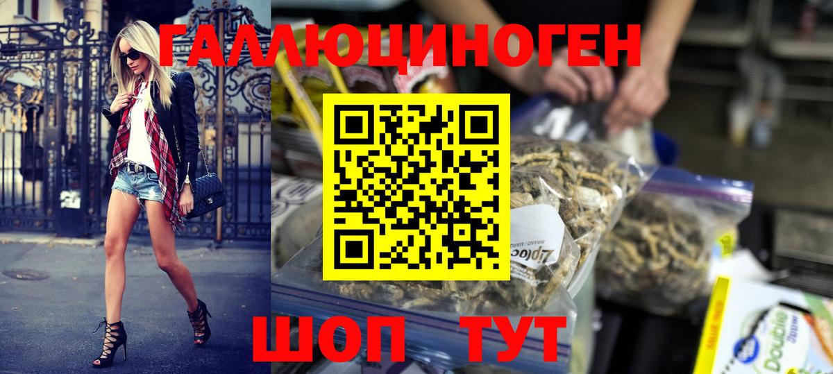 Галлюциногенные грибы GOLDEN TEACHER  Пенза  Псилоцибиновые грибы GOLDEN TEACHER 