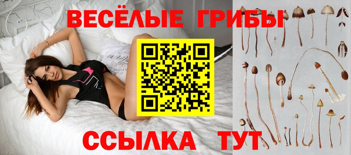 Галлюциногенные грибы MAGIC MUSHROOMS Пенза